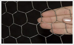 Hexagonal Wire Mesh