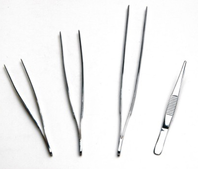 Dressing Forceps