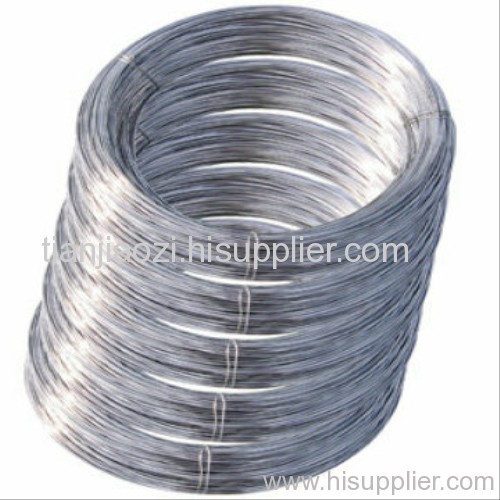 Stainless Steel Wires 316