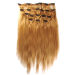 Indian Remy human clip in hair