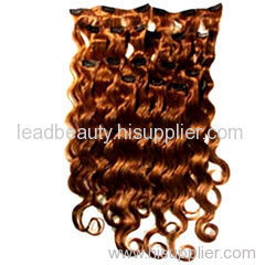 Indian Remy human clip in hair