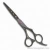 Professional pet grooming scissors