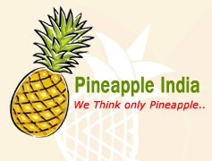 Pineapple India