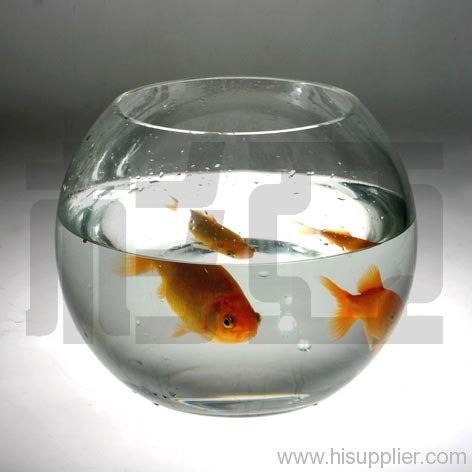 glass fishbowl