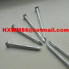 Galvanized Concrete Nails