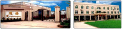 Chongqing tongsheng electrical & mechanical co.,ltd