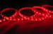 Flexible LED Strip