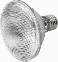 PAR30 led lamp