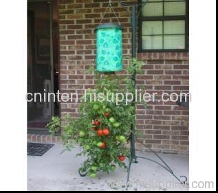 topsy turvy tomato planter