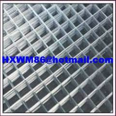 Hot Dipped Galvanized Welded Wire Meshes