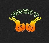 Shenzhen obest tech co.,Ltd