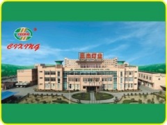 Ningbo Sanjie lights Co., Ltd