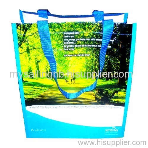 PP Woven Promotion Shopping Tote