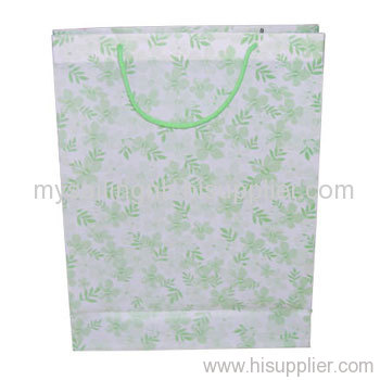 Shopping Paper Bag