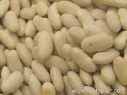white kidney Beans