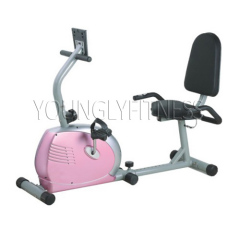 Recumbent Magnetic Bike