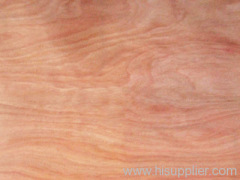 Mahogany veneer