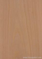 Steamed Beech Veneer