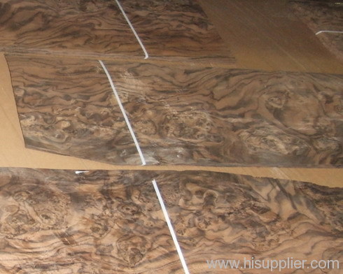 walnut burl veneer