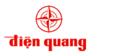 Dien Quang Lamp Joint Stock Company
