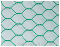 PVC Hexagonal Wire Netting