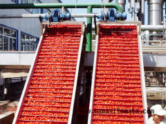 Manasi Tomato Industry Limited