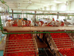 Manasi Tomato Industry Limited