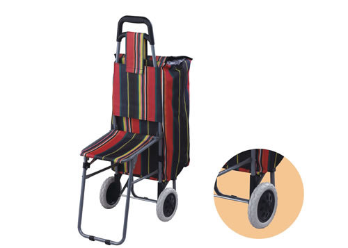 Shopping trolley with seat