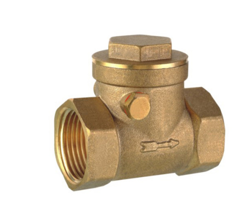 spring check valve