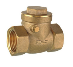 stainless steel check valve