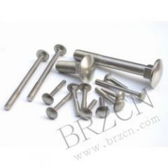 Carriage Bolts