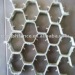 Hong Xin Tortoise Shell Mesh