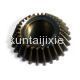 Bevel Gear