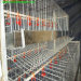 A type chicken cage
