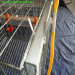 Breeder Chicken Cage