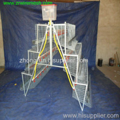 Ladder Chicken Cage