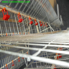 Chicken Cages
