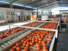 Gannan makesdo Fruit Co., Ltd.