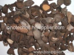 Palm Kernel Shell