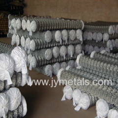 PVC Coated Chain Link Meshes
