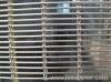 decorative wire mesh