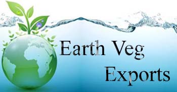 Earth Veg Exports