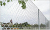 Galvanized Chain Link Fence