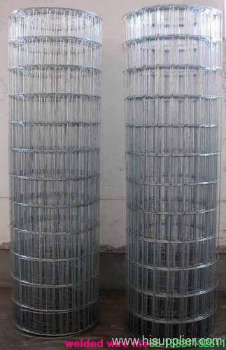 galvanized welded wire mesh