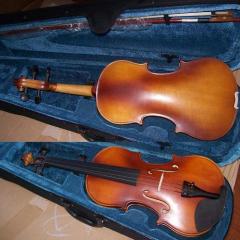 violin