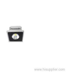 LED Flood Light