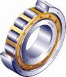 Multi rows cylindrical roller bearings