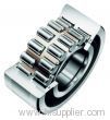 Double Row Cylindrical Roller Bearings