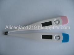 Electronic Thermometer