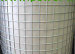 Electro Galvanized welded wire mesh